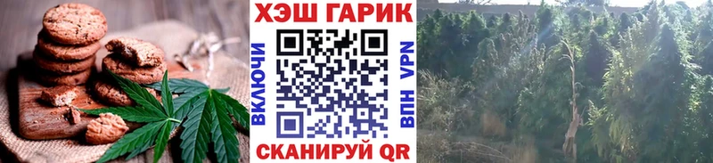KRAKEN вход  Томилино  Canna-Cookies марихуана  купить  