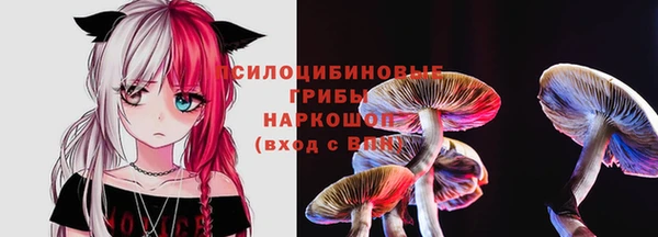 прущая мука Строитель