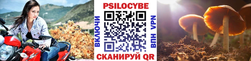 Псилоцибиновые грибы мухоморы  что такое   Томилино 